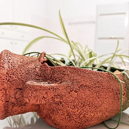 Ta Sokakia * Καρπενήσι